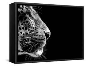 Isolated Leopard Face Card-Snap2Art-Framed Stretched Canvas