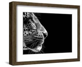 Isolated Leopard Face Card-Snap2Art-Framed Art Print