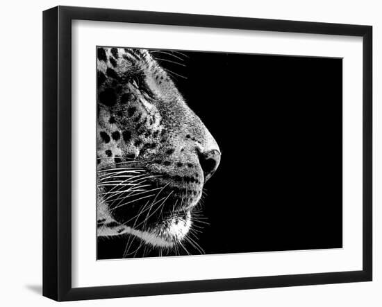 Isolated Leopard Face Card-Snap2Art-Framed Art Print