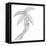 Isolated Palm-Pam Varacek-Framed Stretched Canvas