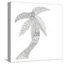 Isolated Palm-Pam Varacek-Stretched Canvas