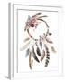 Isolated Watercolor Decoration Bohemian Dreamcatcher, Boho Feathers Decoration, Native Dream Chic D-VerisStudio-Framed Art Print