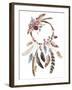 Isolated Watercolor Decoration Bohemian Dreamcatcher, Boho Feathers Decoration, Native Dream Chic D-VerisStudio-Framed Art Print