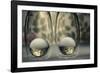 Isolated-Heidi Westum-Framed Photographic Print