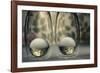 Isolated-Heidi Westum-Framed Photographic Print