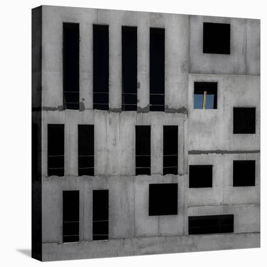 Isolation Cell-Gilbert Claes-Stretched Canvas