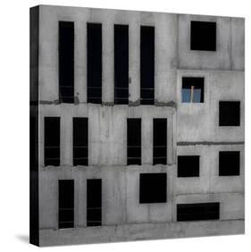 Isolation Cell-Gilbert Claes-Stretched Canvas