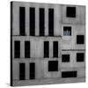 Isolation Cell-Gilbert Claes-Stretched Canvas