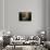 Isolation-Yanni Theodorou-Stretched Canvas displayed on a wall