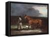 Ispwell Lass, 1805-Benjamin Marshall-Framed Stretched Canvas