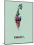 Israel Color Splatter Map-NaxArt-Mounted Art Print