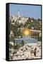 Israel, Jerusalem, View of the Old City,  Dome of the Rock on Temple Mount, and the Mount of Olives-Jane Sweeney-Framed Stretched Canvas