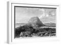 White Frame