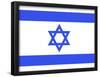 Israel National Flag Poster Print-null-Framed Poster