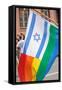 Israel Rainbow Flag-RDStockPhotos-Framed Stretched Canvas