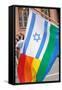 Israel Rainbow Flag-RDStockPhotos-Framed Stretched Canvas