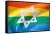 Israel Rainbow Flag-RDStockPhotos-Framed Stretched Canvas