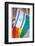 Israel Rainbow Flag-RDStockPhotos-Framed Photographic Print