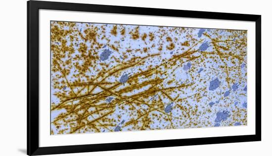 Israel Rust Abstract-Art Wolfe-Framed Photographic Print