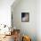 Israel, Satellite Image-PLANETOBSERVER-Framed Stretched Canvas displayed on a wall