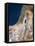 Israel, Satellite Image-PLANETOBSERVER-Framed Stretched Canvas