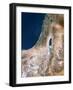 Israel, Satellite Image-PLANETOBSERVER-Framed Photographic Print