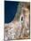 Israel, Satellite Image-PLANETOBSERVER-Mounted Photographic Print