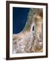 Israel, Satellite Image-PLANETOBSERVER-Framed Photographic Print