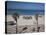 Israel, Tel Aviv Beach Walkway-Walter Bibikow-Stretched Canvas