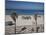 Israel, Tel Aviv Beach Walkway-Walter Bibikow-Mounted Photographic Print