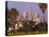 Israel, Tel Aviv, Jaffa, Downtown Buildings Viewed from Hapisgah Gardens Park-Gavin Hellier-Stretched Canvas