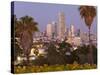 Israel, Tel Aviv, Jaffa, Downtown Buildings Viewed from Hapisgah Gardens Park-Gavin Hellier-Stretched Canvas