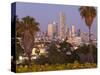 Israel, Tel Aviv, Jaffa, Downtown Buildings Viewed from Hapisgah Gardens Park-Gavin Hellier-Stretched Canvas