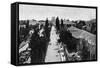 Israel Tel Aviv-null-Framed Stretched Canvas