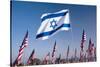 Israeli and American Flags during 3000 Flags for 9-11 Tribute-Joseph Sohm-Stretched Canvas