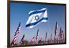 Israeli and American Flags during 3000 Flags for 9-11 Tribute-Joseph Sohm-Framed Photographic Print