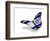 Israeli Flag Butterfly Flying, Isolated On White Background-suns_luck-Framed Art Print