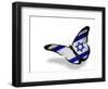 Israeli Flag Butterfly Flying, Isolated On White Background-suns_luck-Framed Art Print