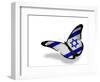 Israeli Flag Butterfly Flying, Isolated On White Background-suns_luck-Framed Art Print