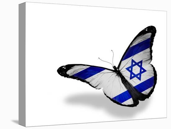 Israeli Flag Butterfly Flying, Isolated On White Background-suns_luck-Stretched Canvas