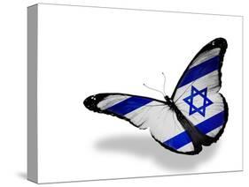 Israeli Flag Butterfly Flying, Isolated On White Background-suns_luck-Stretched Canvas