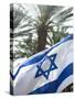 Israeli Flag with Star of David and Palm Tree, Tel Aviv, Israel, Middle East-Merrill Images-Stretched Canvas