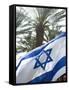 Israeli Flag with Star of David and Palm Tree, Tel Aviv, Israel, Middle East-Merrill Images-Framed Stretched Canvas