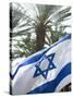 Israeli Flag with Star of David and Palm Tree, Tel Aviv, Israel, Middle East-Merrill Images-Stretched Canvas