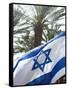 Israeli Flag with Star of David and Palm Tree, Tel Aviv, Israel, Middle East-Merrill Images-Framed Stretched Canvas