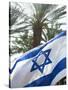 Israeli Flag with Star of David and Palm Tree, Tel Aviv, Israel, Middle East-Merrill Images-Stretched Canvas