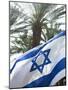 Israeli Flag with Star of David and Palm Tree, Tel Aviv, Israel, Middle East-Merrill Images-Mounted Photographic Print