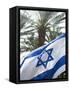 Israeli Flag with Star of David and Palm Tree, Tel Aviv, Israel, Middle East-Merrill Images-Framed Stretched Canvas