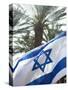 Israeli Flag with Star of David and Palm Tree, Tel Aviv, Israel, Middle East-Merrill Images-Stretched Canvas