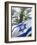 Israeli Flag with Star of David and Palm Tree, Tel Aviv, Israel, Middle East-Merrill Images-Framed Photographic Print